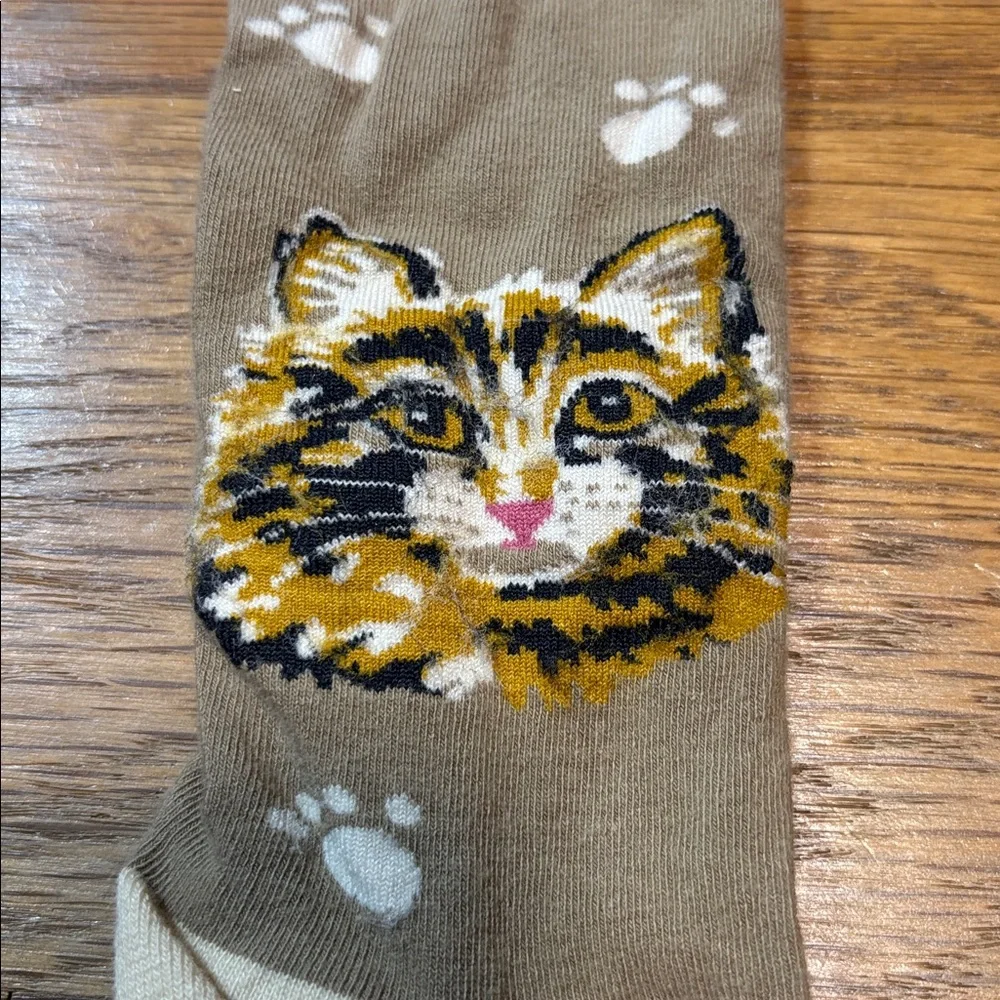 Novelty cat socks